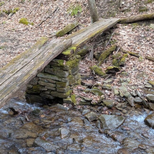 482366205_18481978015051293_7992543674480344244_n An image of a wooden bridge on the Laurel Highlands Hiking Trail.